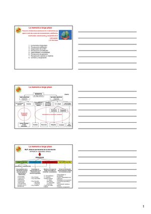 Tema 6 Memoria Largo Plazox