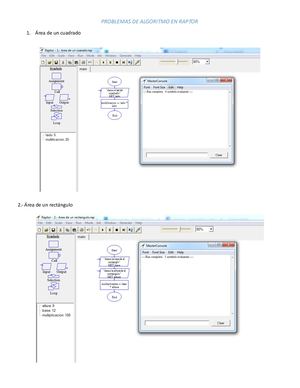 Problemas De Algoritmo En Raptor