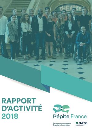 Rapport d'activité Pépite France 2018