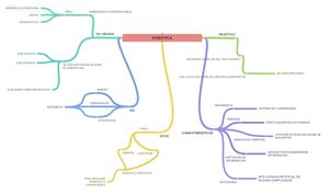 MAPA CONCEPTUAL ACERCA DE LA ROBOTICA