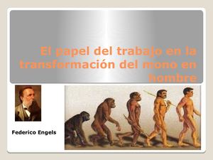 El Papel Del Trabajo