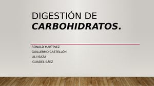 Digestión De Carbohidratos