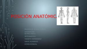 Posición Anatómica