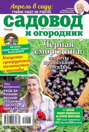 Sad Ogorod07 2019