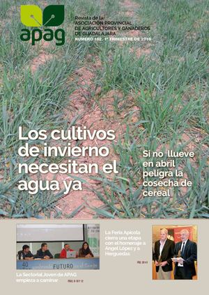 Revista Apag Num 162