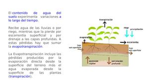 Características Hidrofísicas