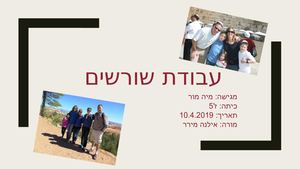 מיה מור עבודת שורשים 2019