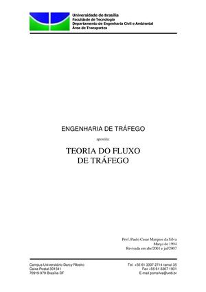 Teoria Do Fluxo De Trafego