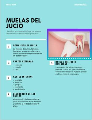 Muelas del Juicio