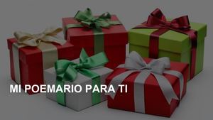 √ 2019 04 11 Mi Poemario Aurkezpen Izengabea (2)