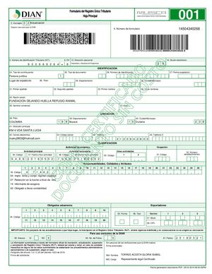 RUT FUNDACION DEJANDO HUELLA