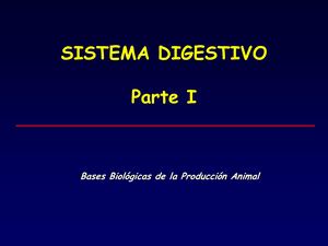 C5 Digestivo 1 Rumiantes