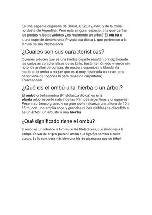 Dónde Crece El Ombú