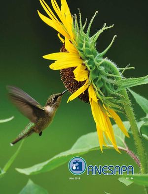 Revista 44 de ANESAPA