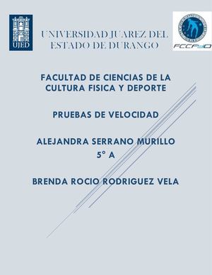 Pruebas De Velocidad
