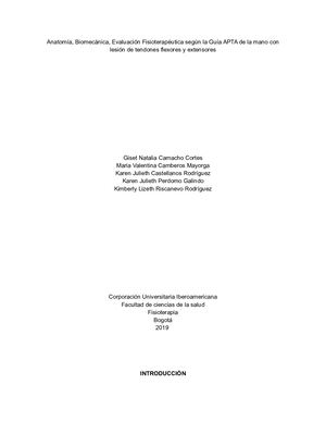 Lesión De Tendones Flexores Y Extensores Seminario Complementación 2