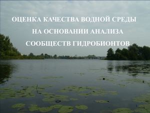 Оценка качества природной среды