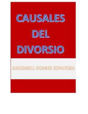 Nuevas Causales De La Separación De Cuerpos Y Del Divorcio Incorporados Por La Ley