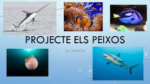 Projecte Els Peixos 2n Trimestre