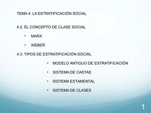 Estratificación Social