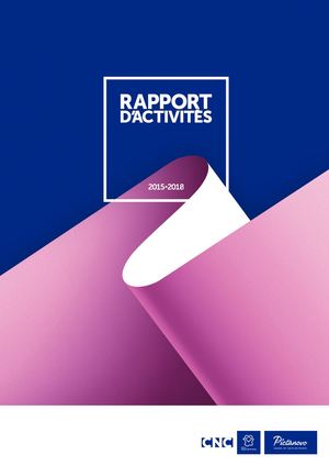 Calaméo Rapport Dactivités 2015 2018 - 