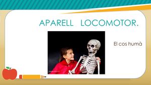 Aparell Locomotor