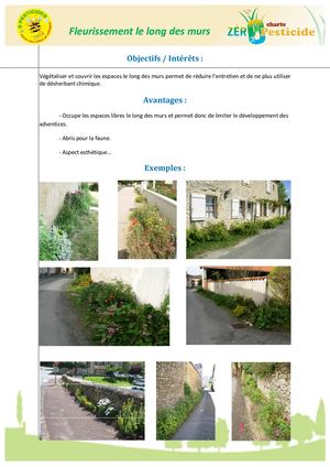 Fiche Technique 7 Fleurissement Le Long  Des Murs