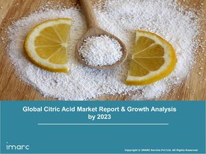 Citric Acid Market Global Industry Overview, Sales Revenue, Demand and Forecast by 2024