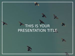 Miranda · Slides Carnival