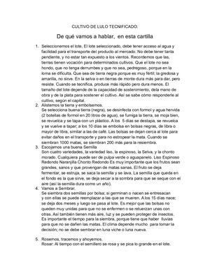 Cultivo De Lulo Tecnificado