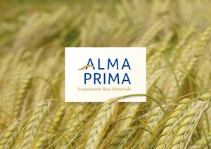 Alma Prima Catálogo