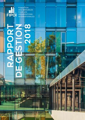 Rapport de Gestion 2018