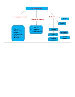 Mapa Conseptual Pdf