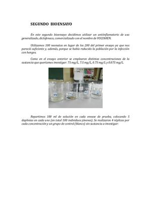 Segundo Bioensayo