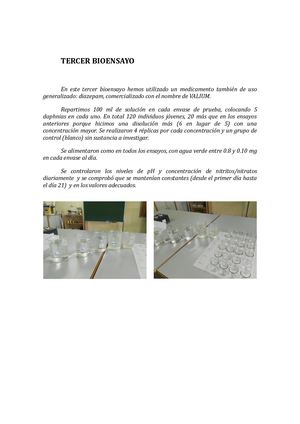 Tercer Bioensayo
