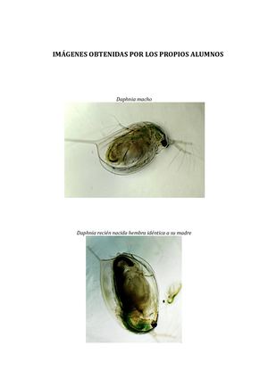Imágenes Del Trabajo De Los Alumnos