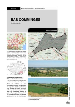 Entité paysagère Bas Comminges