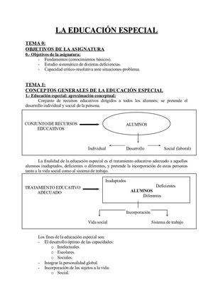 Documento De Educación Especial