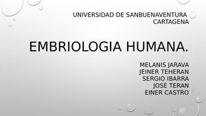 Biopsicologia Embriologia