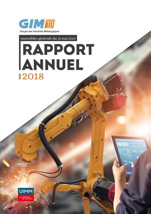 Rapport annuel du GIM 2018