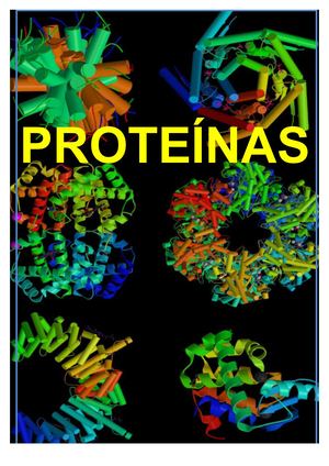 T 05 Proteinas 17 18