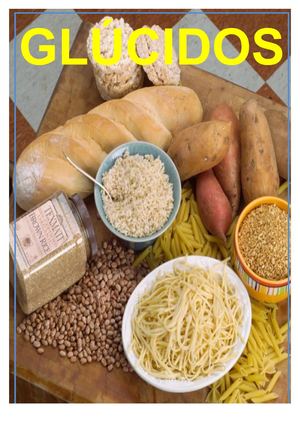 T 03 Glucidos 17 18