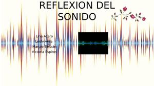 Reflexion Del Sonido