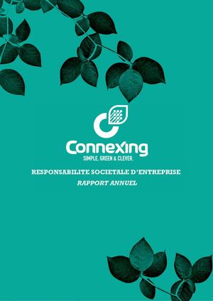 Rapport RSE 2019 Connexing