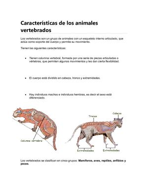 Animales