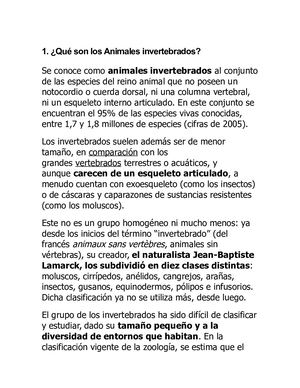 Qué Son Los Animales Invertebrados