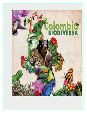 Especies Y Sus Relaciones