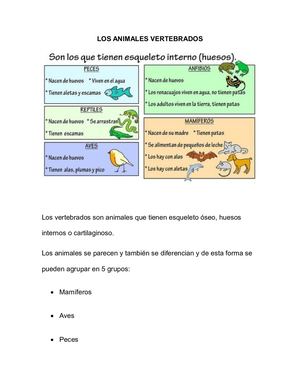 Los Animales Vertebrados