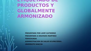 Etnografía Y Modelo Canvas