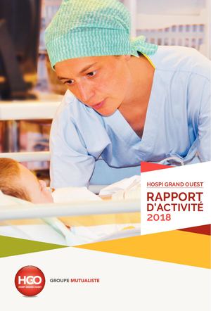 RAPPORT D'ACTIVITE HGO 2018